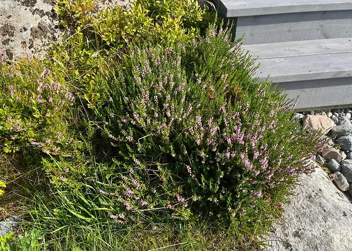 Stor Med Praktfull Havutsikt Ferienhaus Lysøysund