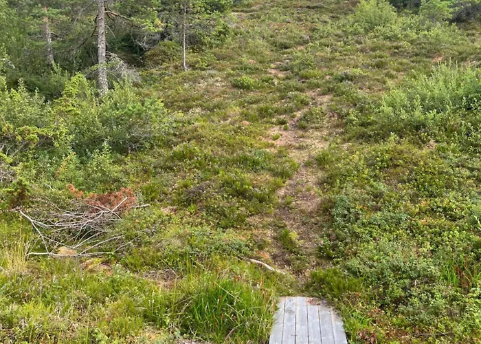 Stor Med Praktfull Havutsikt