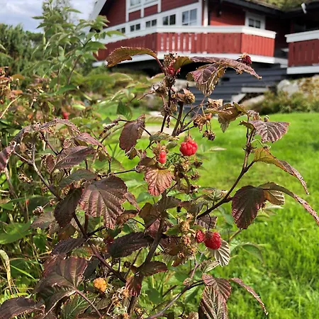 Holiday home Stor Med Praktfull Havutsikt Lysesund